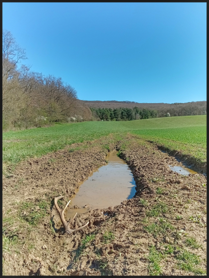 Nastražený takmer do koľaje