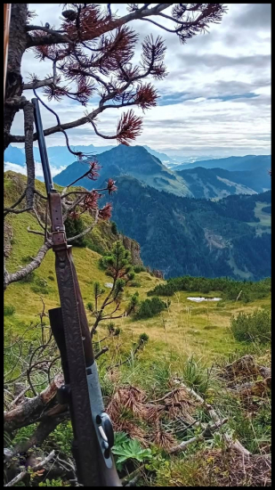 Postriežka v 1900 m.n.m
