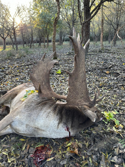 Ruja 2024 v Maďarsku