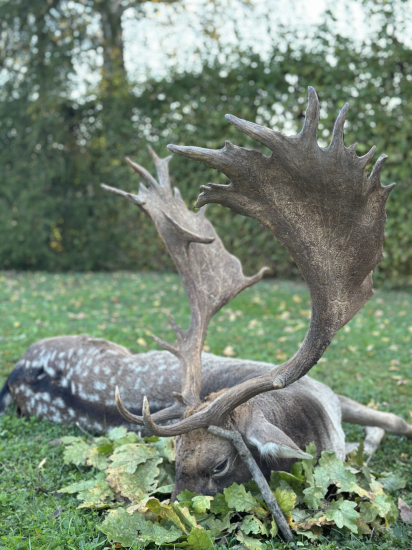 Ruja 2024 v Maďarsku