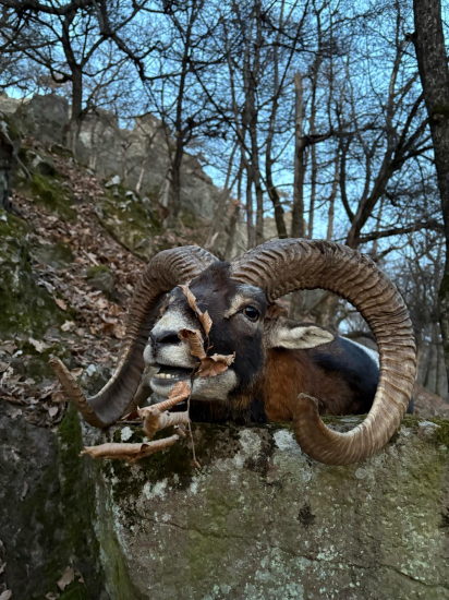 Jeden z lepších .....