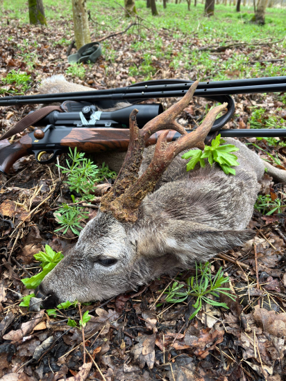 Na srncoch v Maďarsku