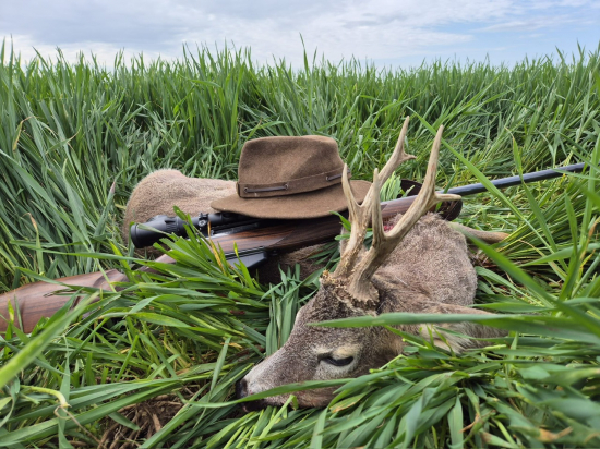 Na srncoch v Maďarsku