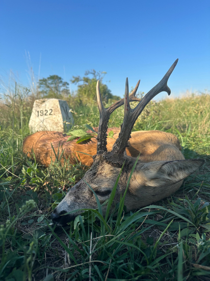 Strážil som hranicu HU/ROM ...