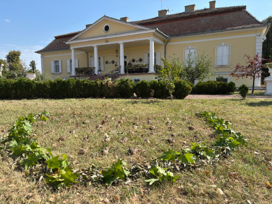 Na prepeliciach v Srbsku .....