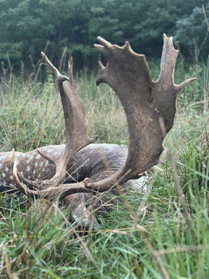 Na danieloch v Maďarsku
