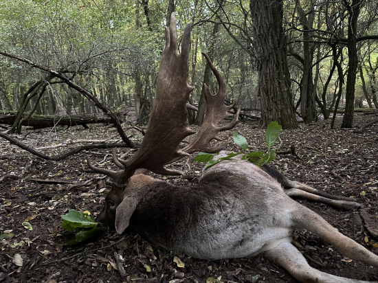 Na danieloch v Maďarsku