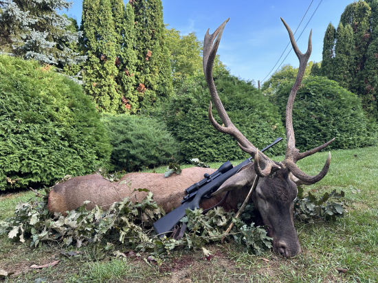 Ruja 2025 v Maďarsku