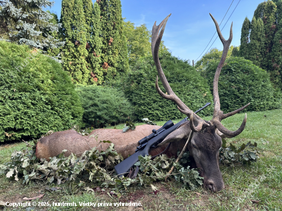 Ruja 2025 v Maďarsku