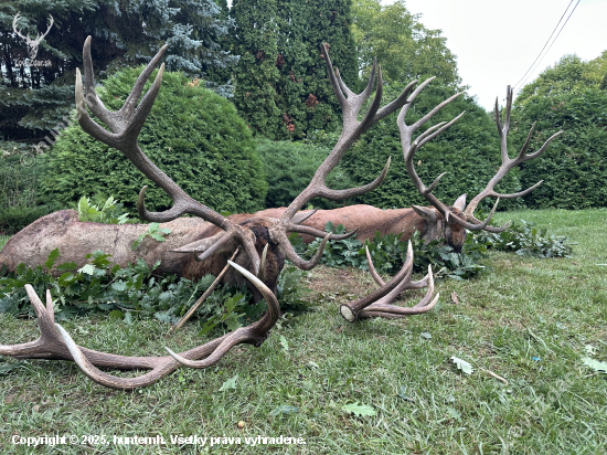 Ruja 2025 v Maďarsku