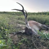 Ruja 2025 v Maďarsku