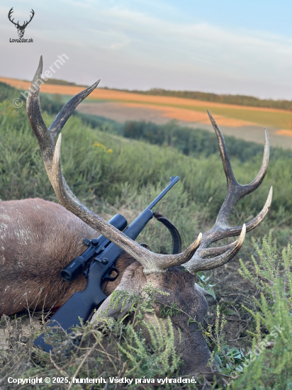 Ruja 2025 v Maďarsku