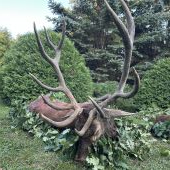 Ruja 2025 v Maďarsku