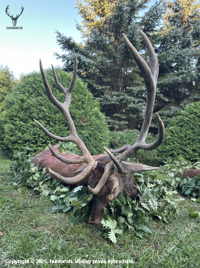 Ruja 2025 v Maďarsku