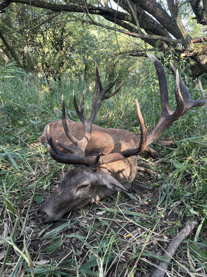 Ruja 2025 v Maďarsku