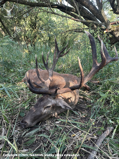 Ruja 2025 v Maďarsku