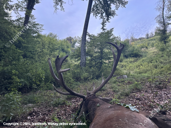 Ruja 2025 v Maďarsku