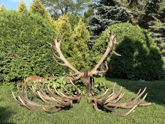 Ruja 2025 v Maďarsku