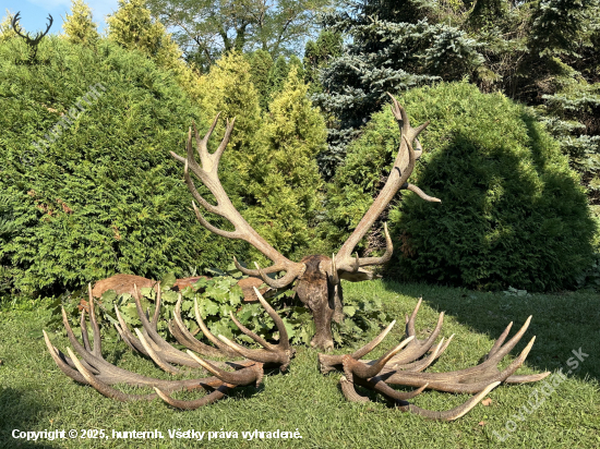 Ruja 2025 v Maďarsku