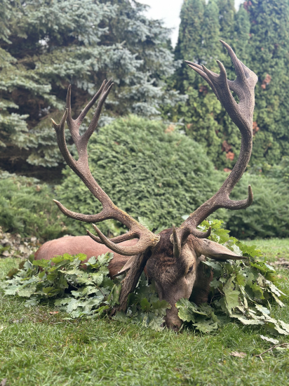 Ruja 2025 v Maďarsku