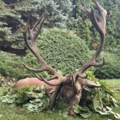 Ruja 2025 v Maďarsku