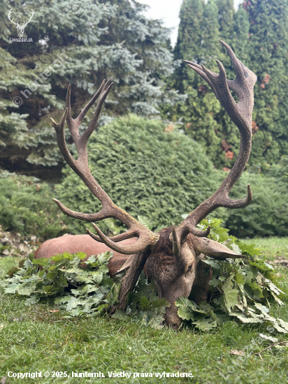 Ruja 2025 v Maďarsku