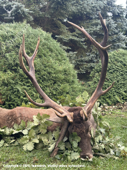 Ruja 2025 v Maďarsku