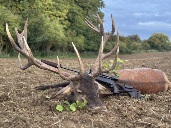 Ruja 2025 v Maďarsku