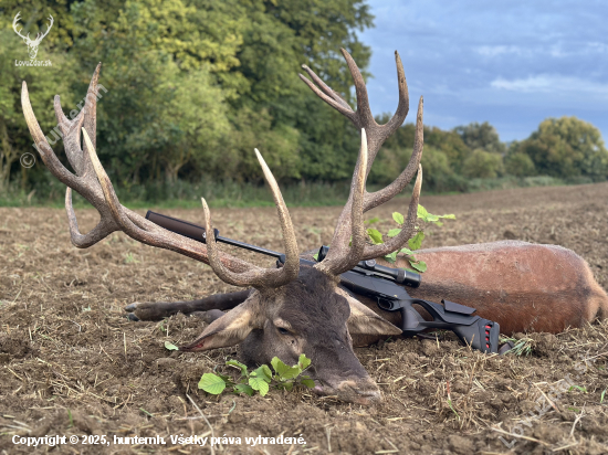 Ruja 2025 v Maďarsku