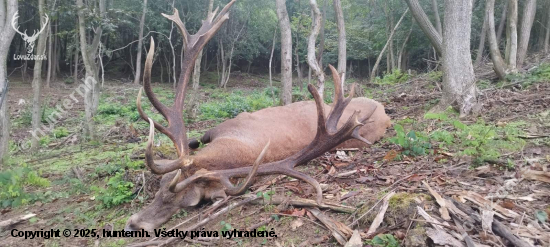 Ruja 2025 v Maďarsku