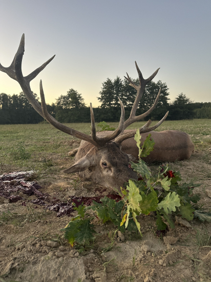 Ruja 2025 v Maďarsku