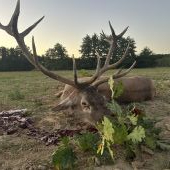 Ruja 2025 v Maďarsku