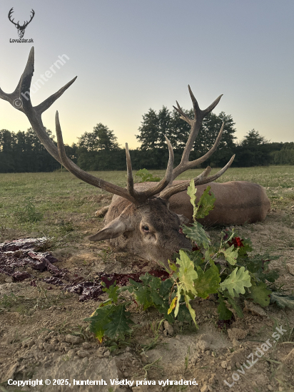 Ruja 2025 v Maďarsku