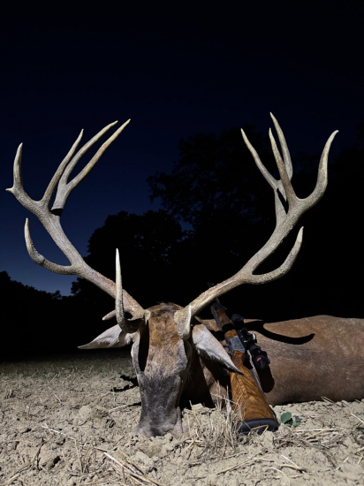 Ruja 2025 v Maďarsku