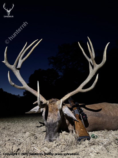 Ruja 2025 v Maďarsku