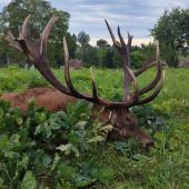 Ruja 2025 v Maďarsku