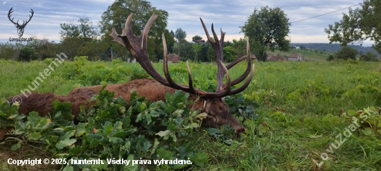 Ruja 2025 v Maďarsku