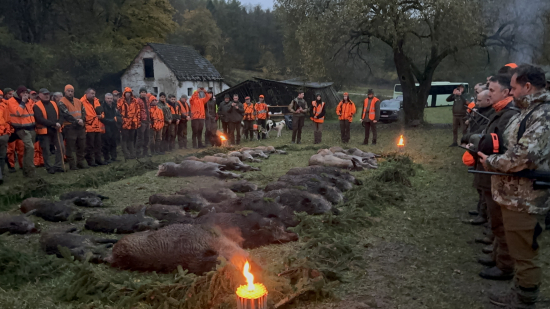 Na diviakoch na Slovensku