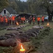 Na diviakoch na Slovensku