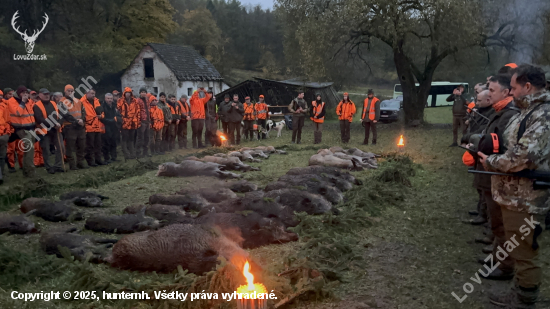 Na diviakoch na Slovensku