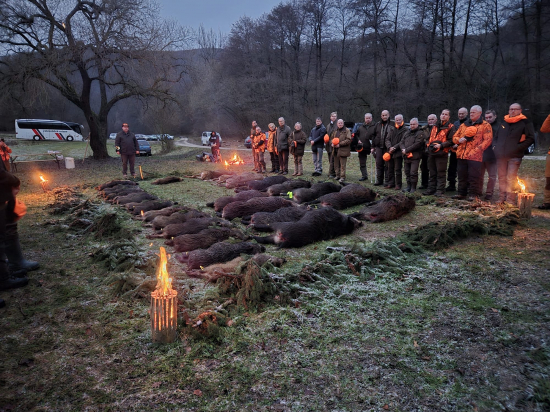 Na diviakoch na Slovensku