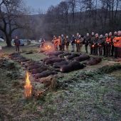 Na diviakoch na Slovensku