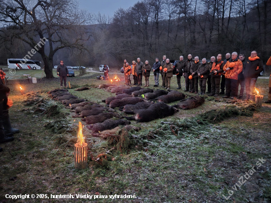 Na diviakoch na Slovensku