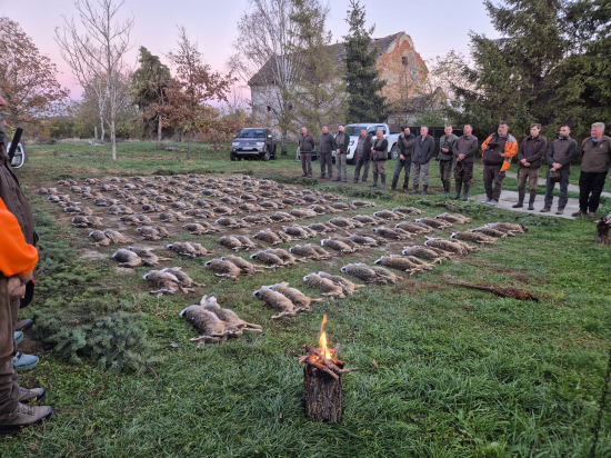 Na zajacoch v Maďarsku