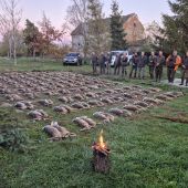 Na zajacoch v Maďarsku