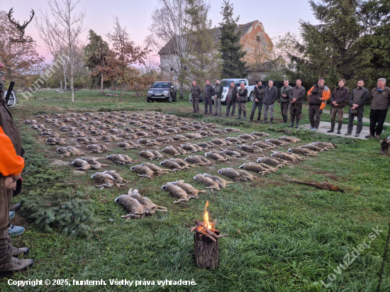 Na zajacoch v Maďarsku