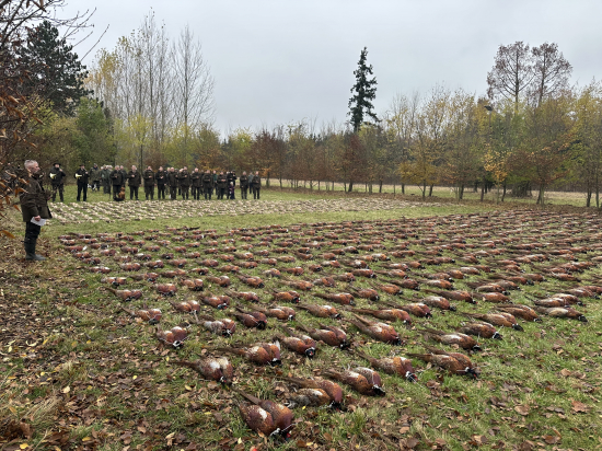 Židlochovice 2025 (druhýý deň)