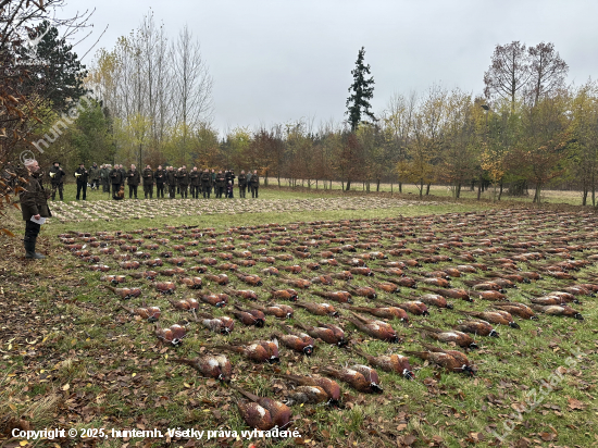 Židlochovice 2025 (druhýý deň)