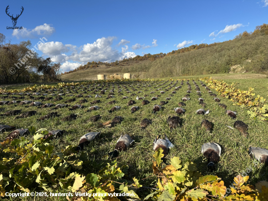 Na kačiciach v Maďarsku