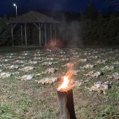 Na zajacoch v Maďarsku